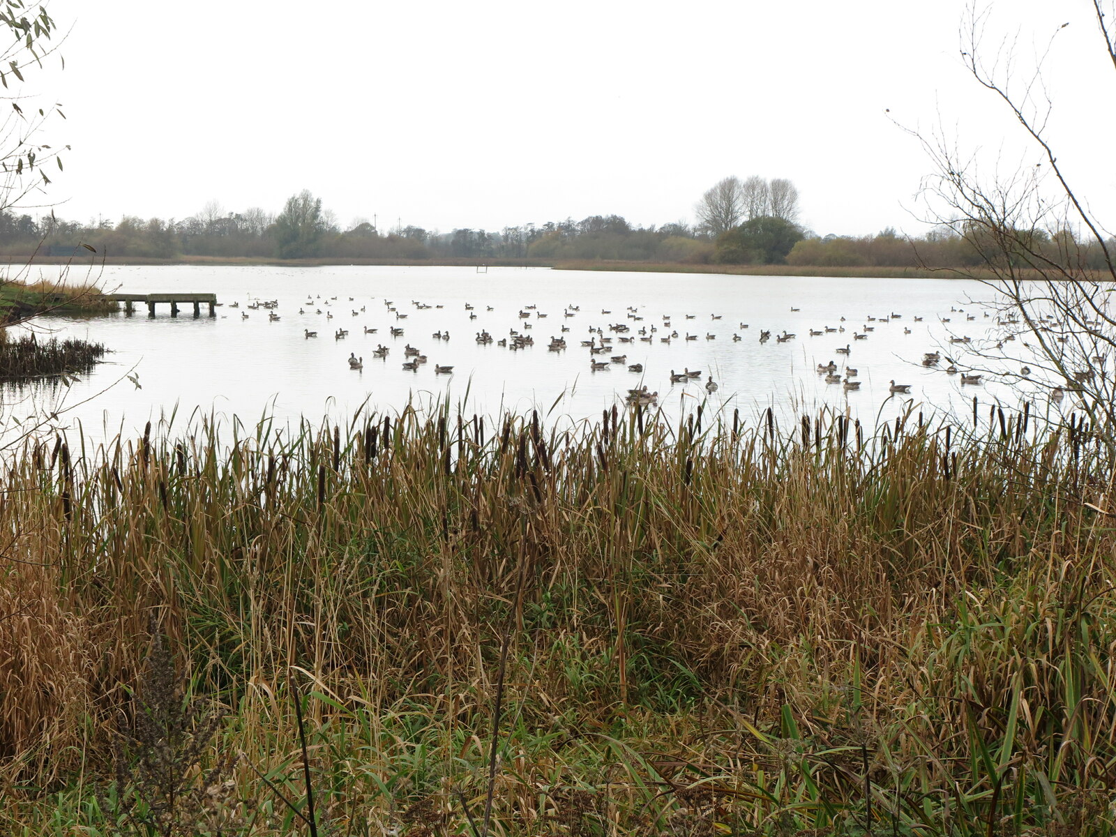 Big Waters (SSSI)