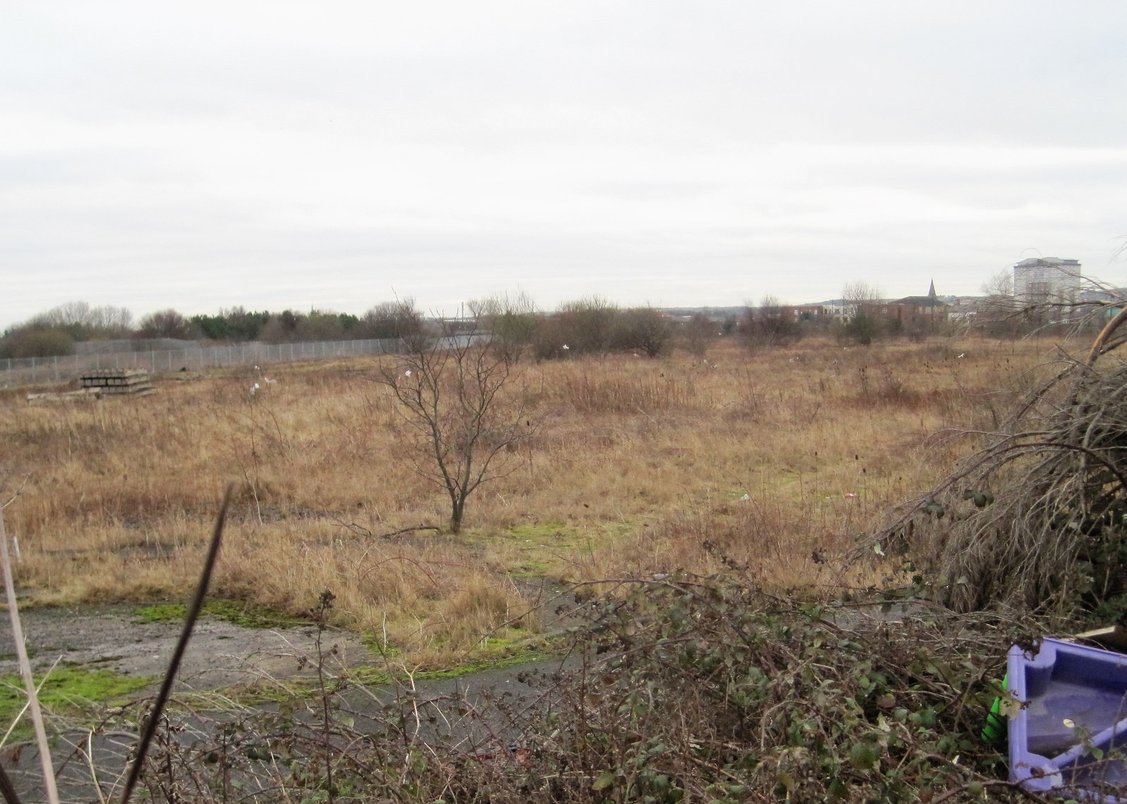 Town Moor