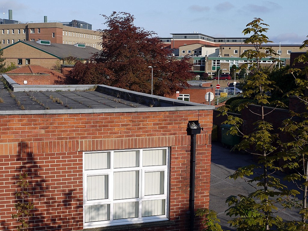 Queen Elizabeth Hospital