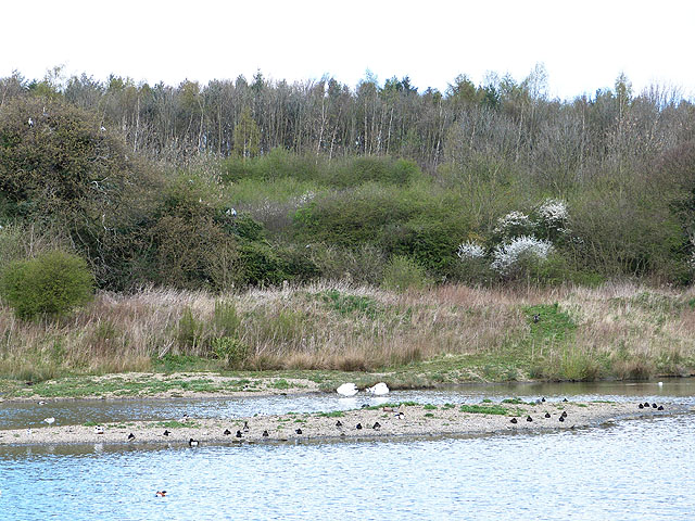WWT Washington Wetland Centre
